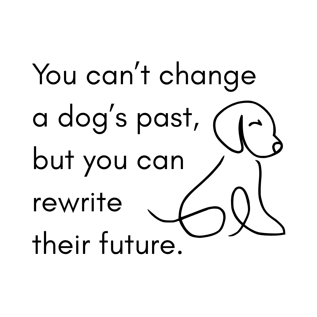 You Can’t Change a Dog’s Past – Design Only