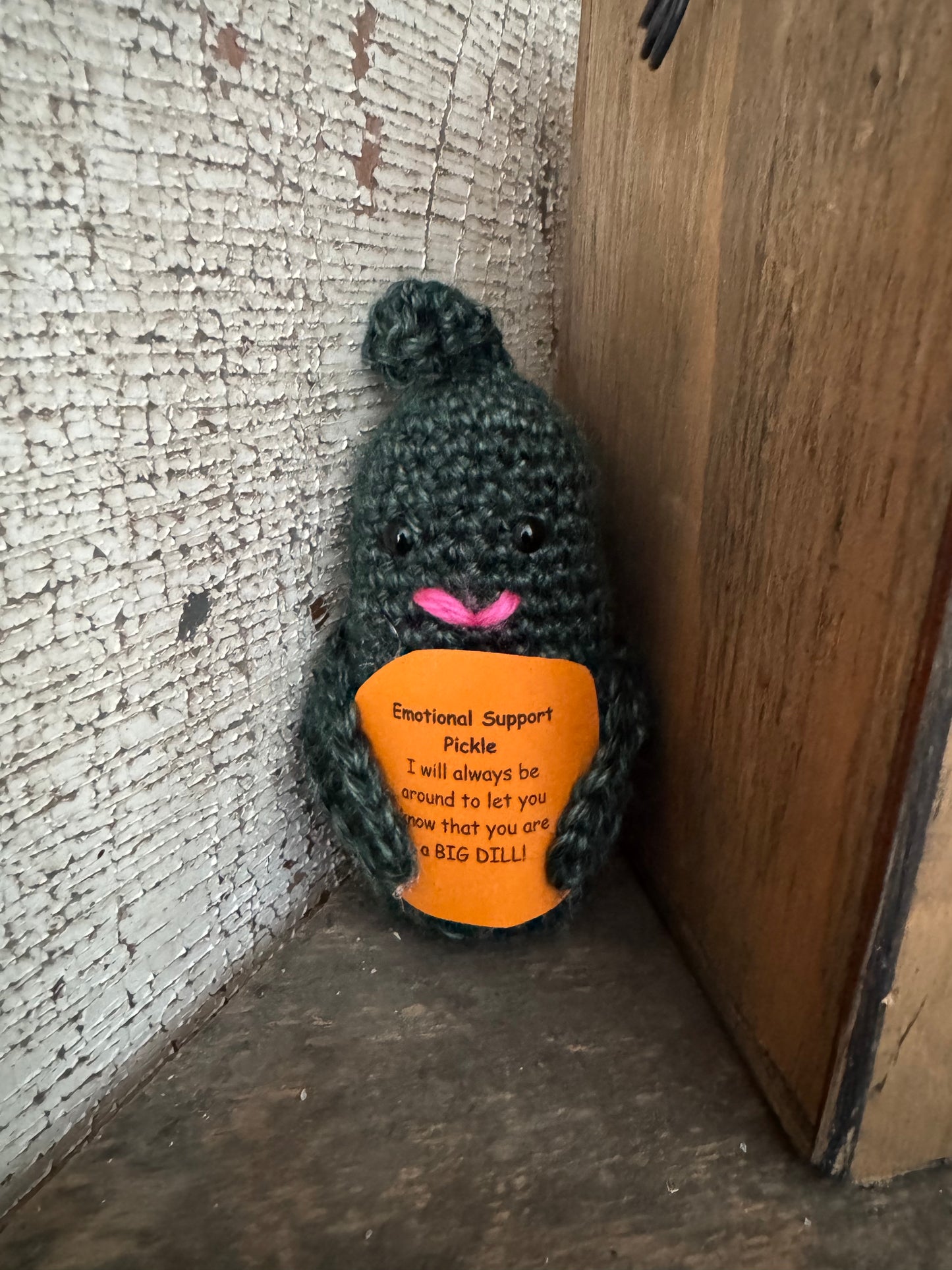 Emotional Support Pickle