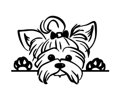 Peekaboo Yorkie Car Decal