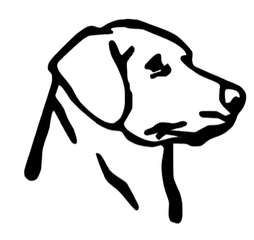 Labrador Outline Car Decal
