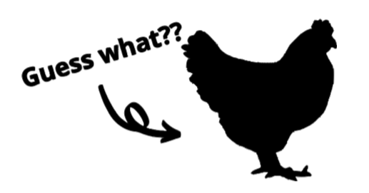 Guess What?? Chicken Butt Car Decal