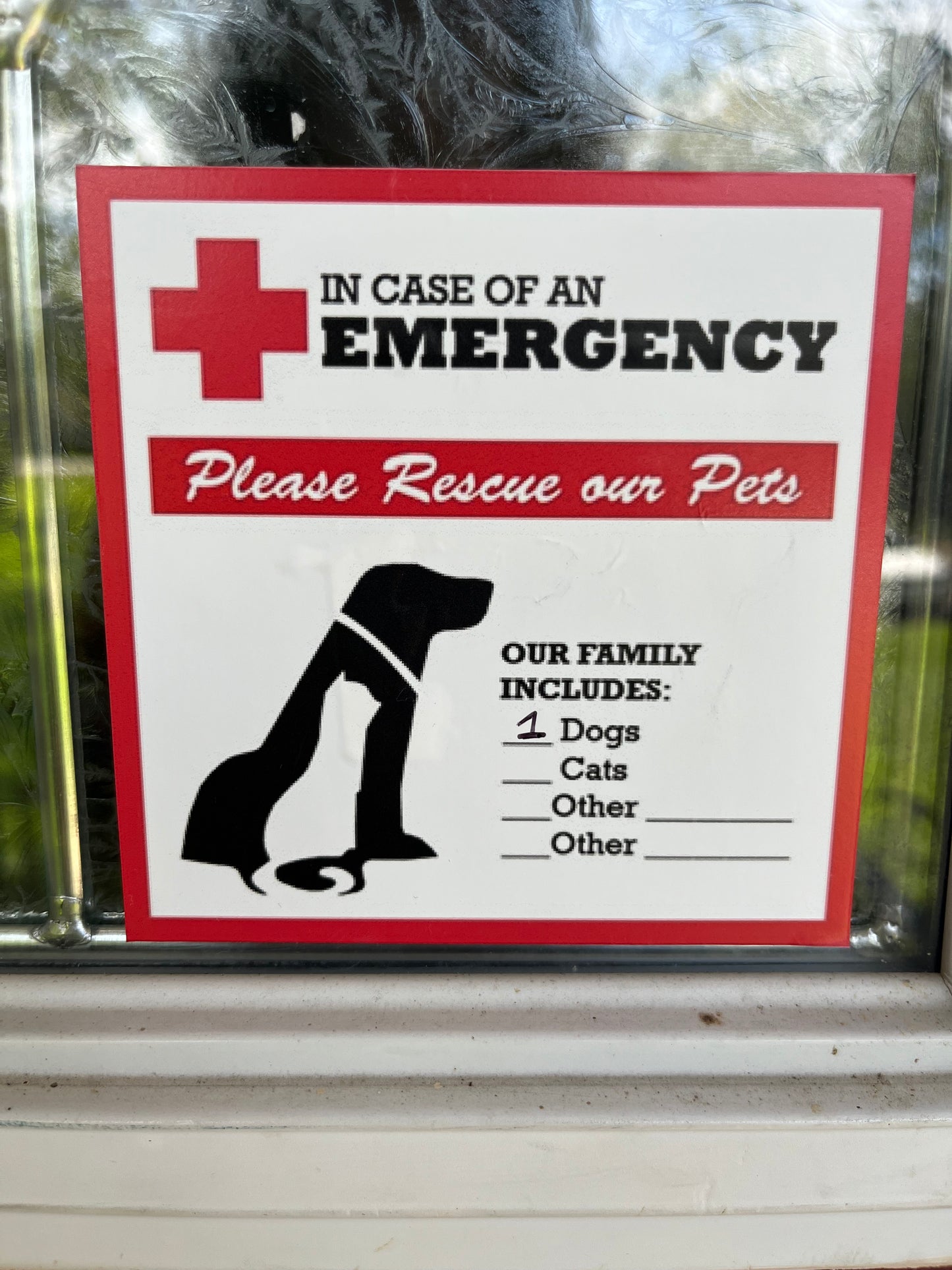 In Case of Emergency